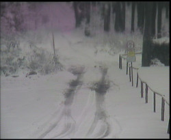 Nástup na běžecké tratě