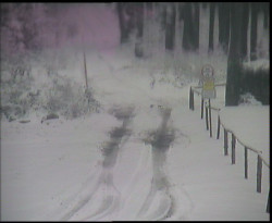 Nástup na běžecké tratě