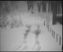 Nástup na běžecké tratě