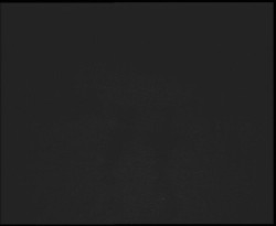 Nástup na běžecké tratě