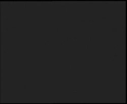 Nástup na běžecké tratě