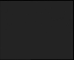 Nástup na běžecké tratě