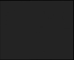 Nástup na běžecké tratě