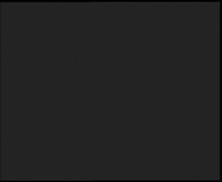 Nástup na běžecké tratě