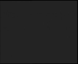 Nástup na běžecké tratě