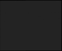 Nástup na běžecké tratě