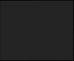 Nástup na běžecké tratě