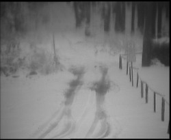 Nástup na běžecké tratě