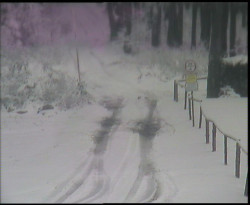 Nástup na běžecké tratě