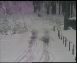 Nástup na běžecké tratě