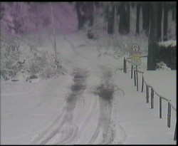 Nástup na běžecké tratě