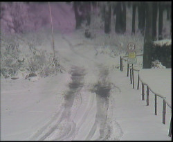 Nástup na běžecké tratě