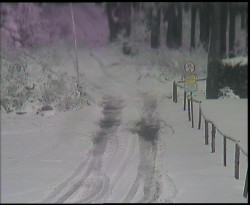 Nástup na běžecké tratě