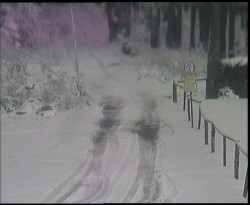 Nástup na běžecké tratě