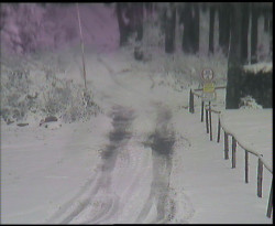 Nástup na běžecké tratě