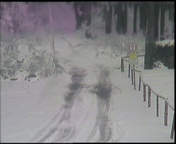 Nástup na běžecké tratě