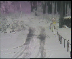 Nástup na běžecké tratě