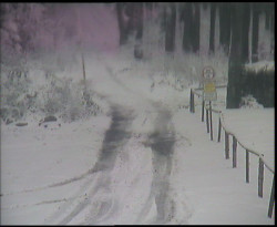 Nástup na běžecké tratě