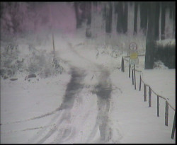 Nástup na běžecké tratě