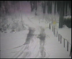 Nástup na běžecké tratě