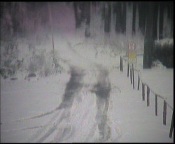 Nástup na běžecké tratě