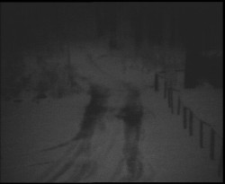 Nástup na běžecké tratě