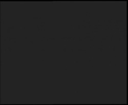 Nástup na běžecké tratě