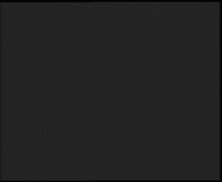 Nástup na běžecké tratě