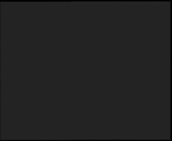 Nástup na běžecké tratě