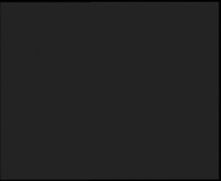 Nástup na běžecké tratě