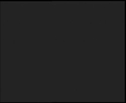 Nástup na běžecké tratě