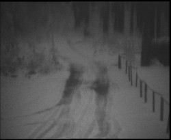 Nástup na běžecké tratě