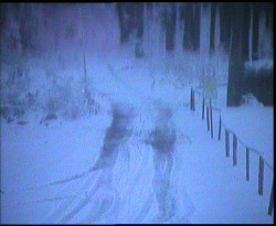 Nástup na běžecké tratě