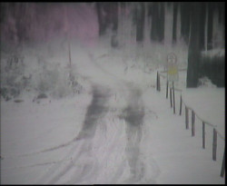 Nástup na běžecké tratě