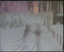 Nástup na běžecké tratě