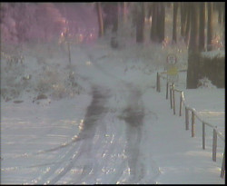 Nástup na běžecké tratě