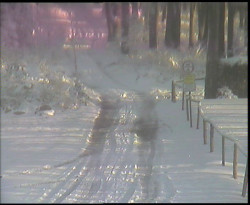 Nástup na běžecké tratě