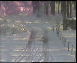 Nástup na běžecké tratě