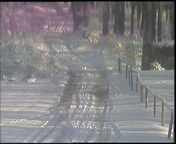 Nástup na běžecké tratě