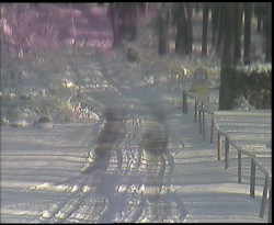 Nástup na běžecké tratě