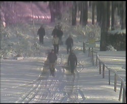 Nástup na běžecké tratě
