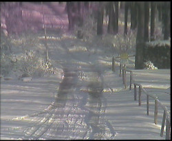 Nástup na běžecké tratě