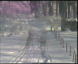 Nástup na běžecké tratě