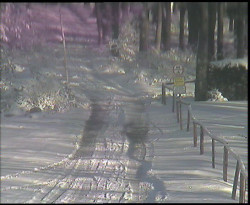 Nástup na běžecké tratě