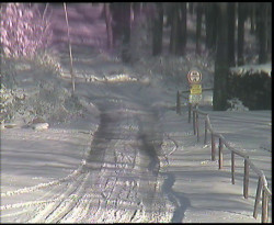 Nástup na běžecké tratě