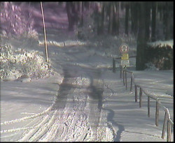 Nástup na běžecké tratě