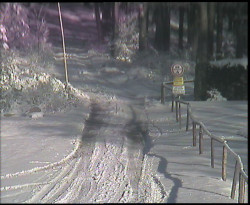 Nástup na běžecké tratě