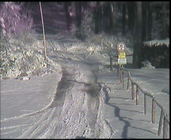 Nástup na běžecké tratě