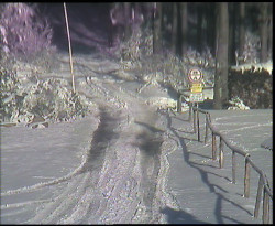 Nástup na běžecké tratě