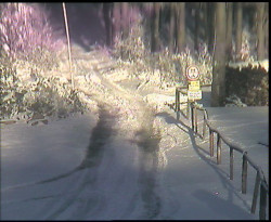 Nástup na běžecké tratě